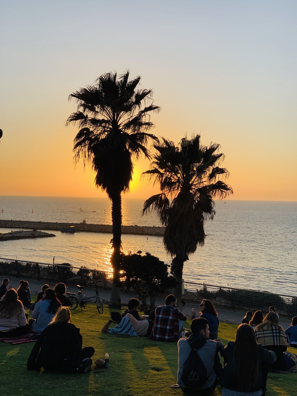 People sitting on a grassy seaside lawn beneath palm trees at sunset