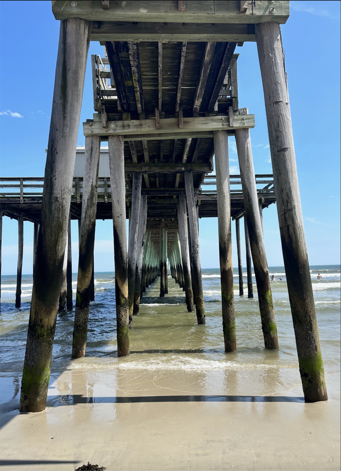 Rows of weathered wooden pier pilings extending into ocean waves