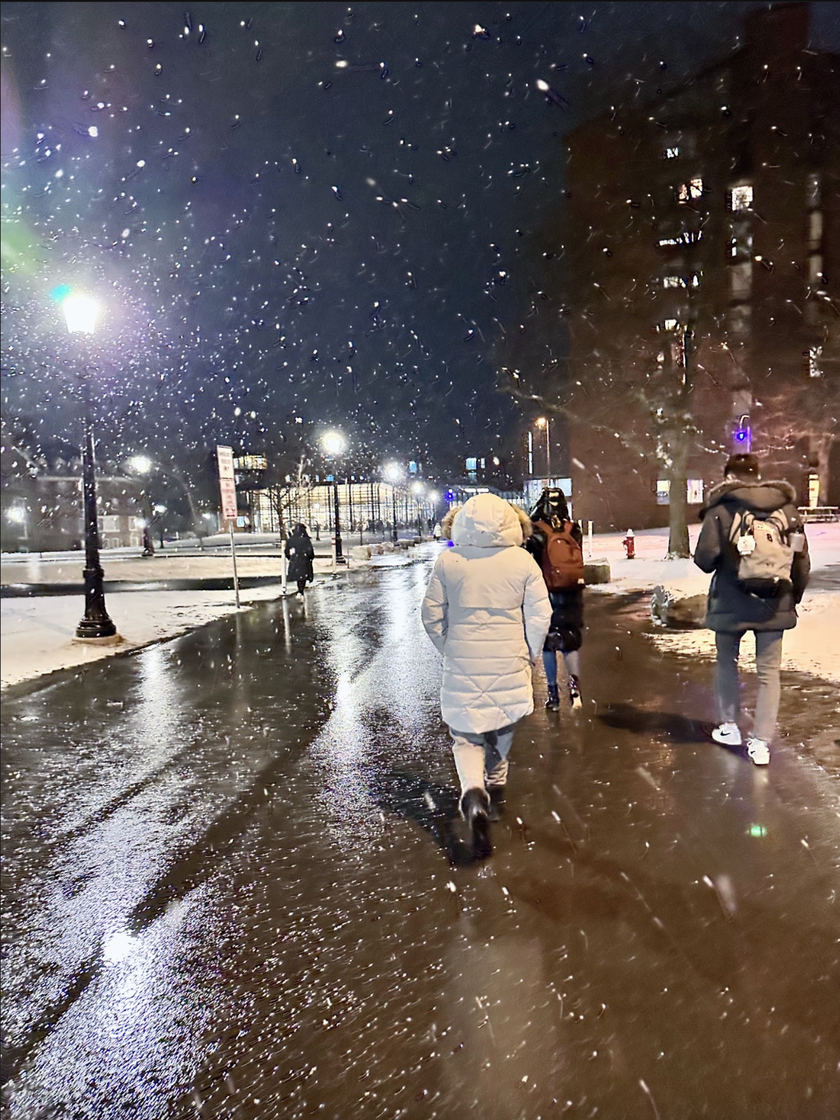 Bundled pedestrians walking through falling snow along a wet, streetlit path at night