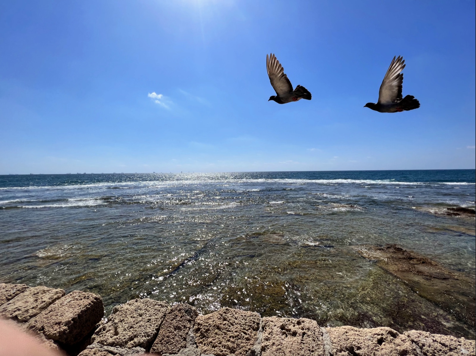 Two pigeons flying over shallow rocky surf beneath a clear blue sky
